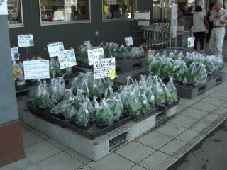 JAいるま野農産物日高中央直売所苗木など